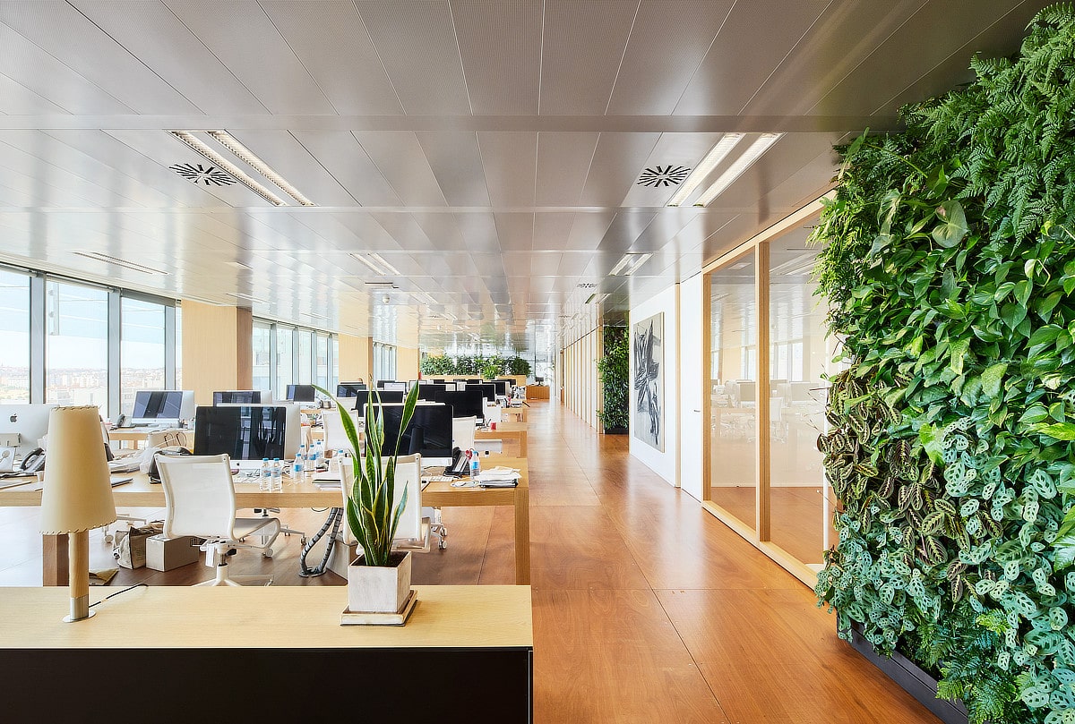 OFICINA MADRID 2-min