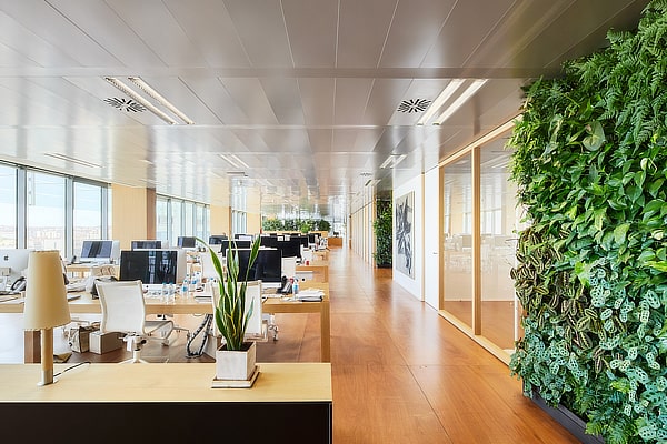 OFICINA MADRID 2-min
